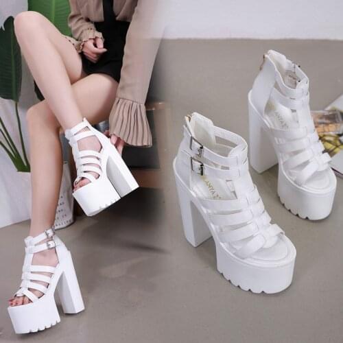 High-heeled women sandals 2019 new waterproof platform fish mouth wild 14 cm sexy nightclub thick with models catwalk high heels