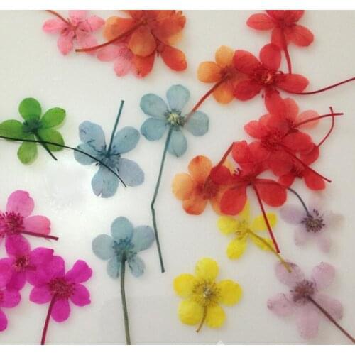 100pcs Pressed Dried Flower water lily Filler For Epoxy Resin Pendant Necklace Jewelry Making Craft DIY Accessories
