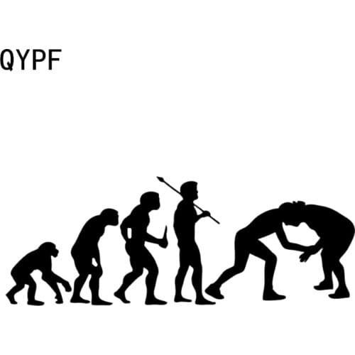 QYPF 16.2*6CM Fashion Wrestling Evolution Decor Car Styling Stickers Vinyl Accessories C16-0414