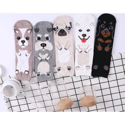 The New Korean Version Cartoon Dog Socks 2019 Autumn Winter Straight Pure Cotton Female Socks Women for Girls 5 Pairs