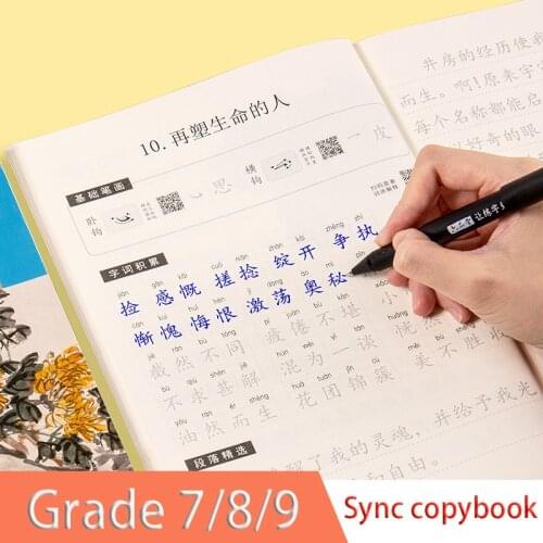 7/8/9 Grade Copybook Books Pupils Practice With Pencil Copy Course Synchronization Red Livres For Beginner Hong Libros Libro Art