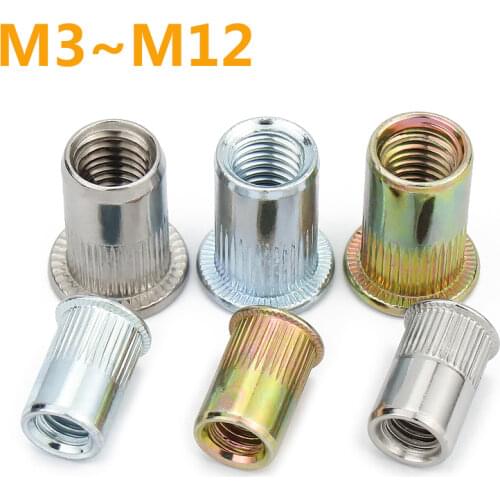 M3 M4 M5 M6 M8 M10 M12 304 Stainless Steel Carbon Steel Aluminum Flat Head Blind Rivet Nut Insert Rivnut Nutsert for Screw Bolt