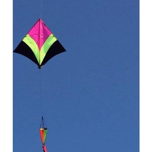 Outdoor toys kite adult flying toy kite acrobatic flying bird toy carbon kite single line fly floatant ripstop kite rainbow kite