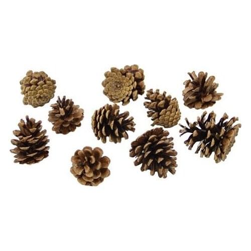 Toptancicek Cones 10 Lu Package Naturel christmas decorations рождественские украшения
