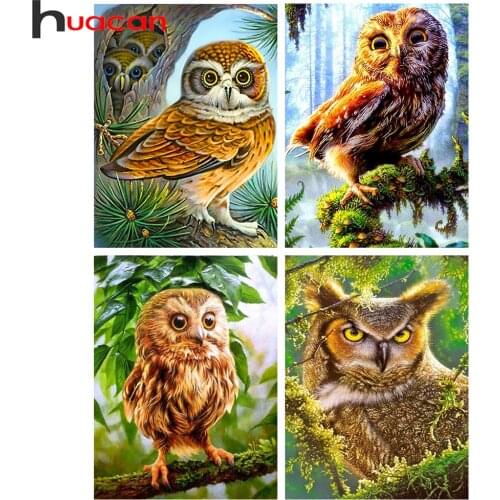 Huacan 5D Diamond Painting Full Square Owl Diamond Mosaic Embroidery Animals Modular Pictures Handicraft Paintings On The Wall