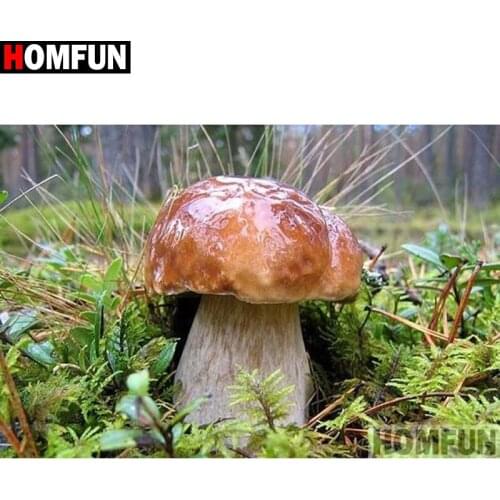 HOMFUN Full Square/Round Drill 5D DIY Diamond Painting "Mushroom landscape" 3D Diamond Embroidery Cross Stitch Home Decor A18969