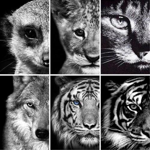 GATYZTORY Black and white Animals DIY Painting By Numbers Modern Wall Art Coloring By Numbers Oil Painting For Home Decor Canva