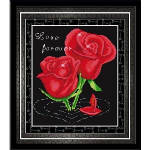 Happiness set sail cross stitch kit flower 18ct 14ct 11ct count printed canvas stitching embroidery DIY handmade needlework