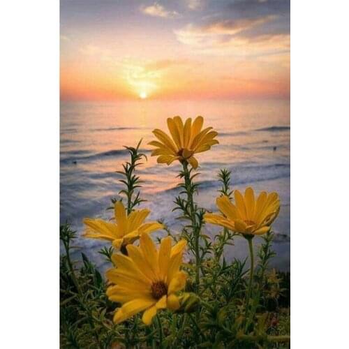 JMINE Div 5D Sunset Flower Full Diamond Painting cross stitch kits art High Quality Floral 3D paint by diamonds