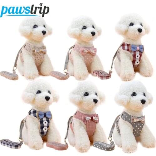 Pawstrip Animal Decorations