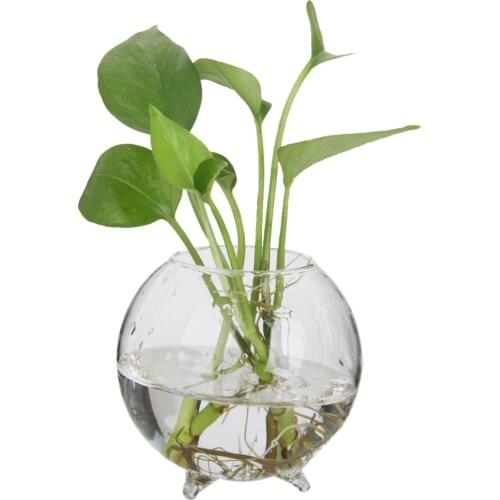Hot Sale 3 Pieces Glass Flower Hydroponic Vase Micro Landscape Bottle Terrarium Container Fish Tank Home Desk Decoration Gift