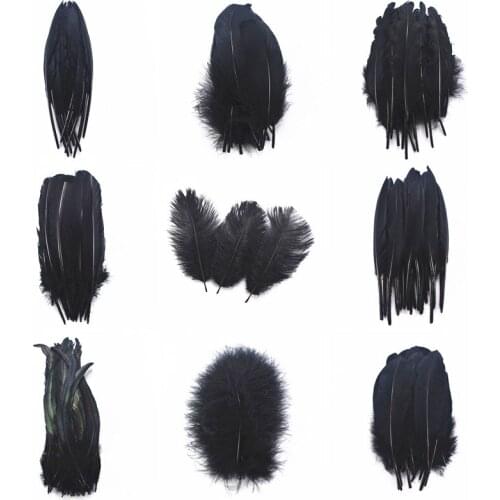 Beautiful 20pcs 13kinds white of Rooster feathers 8-30cm pheasant chicken plume feathers for crafts DIY wedding decoration party