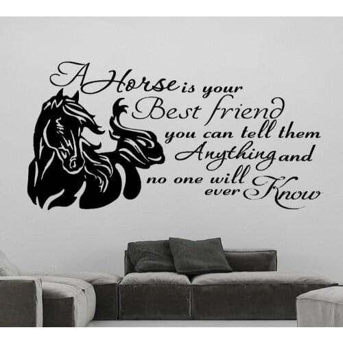 Advice From A Horse Quotes Wall Stickers Vinyl Family Decals Inspirational Saying Mural Livingroom Bedroom Decoration DW20982