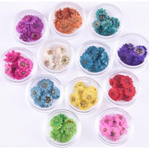 100pcs Pressed Dried Anaphalis sinica Hance Flower With Box For Epoxy Resin Jewelry Making Nail Art Craft DIY Accessories