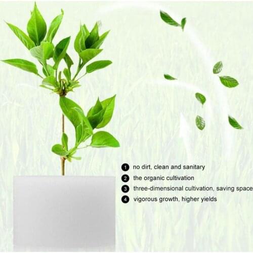 Soilless Cultivation Of Seedlings Planted Nursery Sponge Fitting Hydroponic Vegetable Gardening System Planting Tool Cultiv P6C4