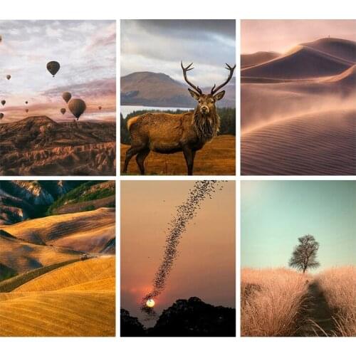 5D Diy Diamond Painting Desert Elk Full Square Diamond Embroidery Landscape Picture Of Rhinestone Mosaic Paintings Decortions