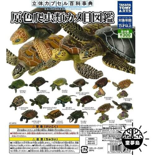 TAKARA TOMY Genuine Gacha Toys Primal Reptile Turtles Atlas Star Tortoise Geochelone Olecranon Turtle Simulation Model Ornaments