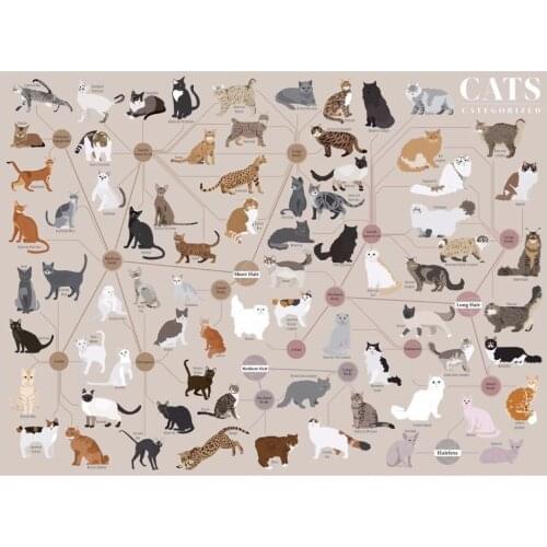 Home Decor Cats Categorized-Silk Art Poster Wall Sicker Decoration Gift