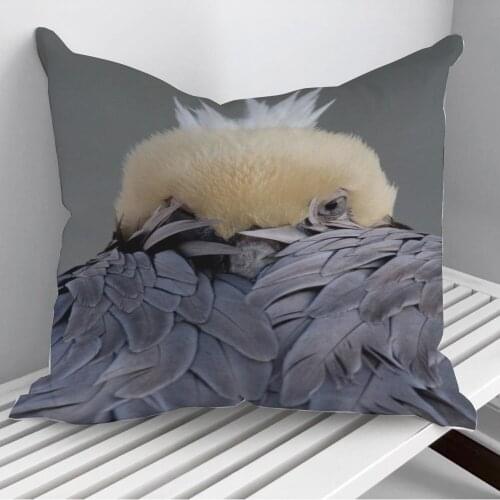 An Eastern brown pelican Throw Pillows Cushion Cover On Sofa Home Decor 45*45cm 40*40cm Gift Pillowcase Cojines Dropshipping