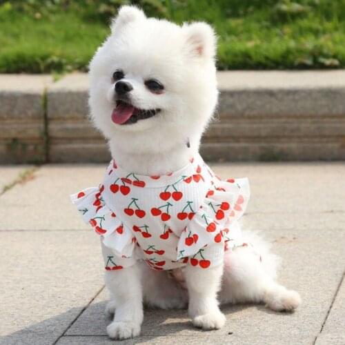 A Cherry Skirt Pet Dog Clothes Cute Puppy Dress Fashion Puppy Vest T-shirt Summer Small Medium Dogs Bottoming Shirt Clothing