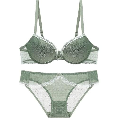 Embroidery Dot Lace Bra And Panty Set Girls Sexy See Through Mesh Panties Lingeri Underwear Women Lingerie Set Lolita Princess