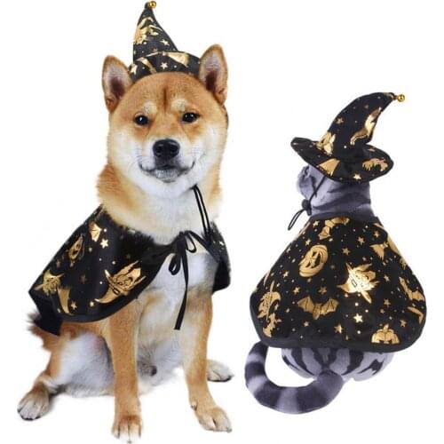 50%HOTPet Cape Hat Pumpkin Bats Pattern Pet Cosplay Skin Friendly Pet Dogs Cats Witch Cloak Hat for Halloween