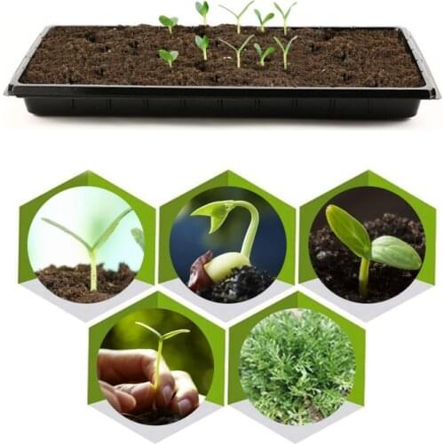 1/2 Pack Of Durable Black Plastic Growing Trays Seedling Trays For Seedling Germination(Without Drain Holes)(21.3''*11''*2'')
