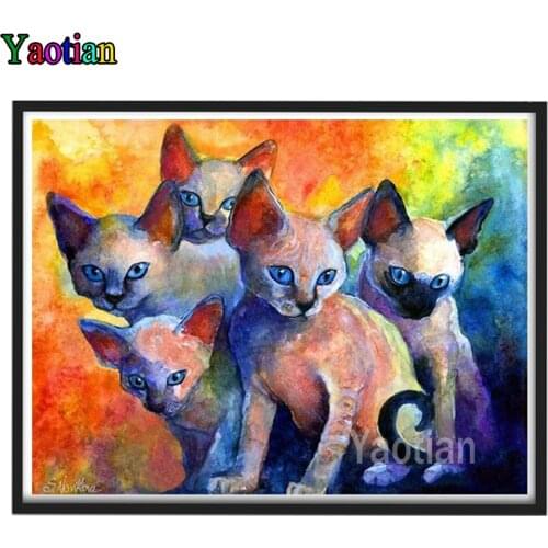 Full Diamond Embroidery Cat 5D Diy Diamond Painting Animal Sphynx Cross Stitch Square/Round Diamond Mosaic Decor Home Art