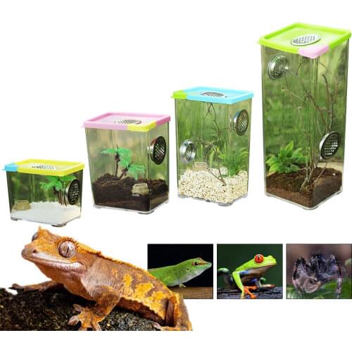 Reptile Breeding Box Clear Acrylic Reptile Feeding Box Terrarium Feeding Case Breathable Ventilated Box For Spider Scorpion