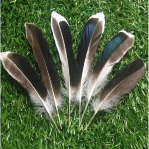 Natural Duck Feathers 20 pcs/lot 10-15cm Pheasant Plumes Wedding Decoration Beautiful Feathers For Clothing Accessories Craft