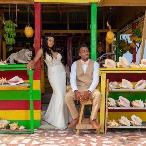 Gorgeous V Neck African Plus Size Wedding Dress Beach Backless Mermaid Bridal Gowns With Lace Appliques Custommade