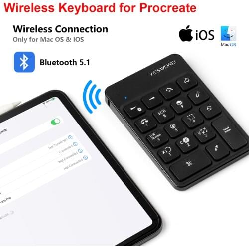 YESWORD Wireless Keyboard for Procreate Bluetooth Drawing Keyboard for iPad Graphics Tablets Painting 6.5*5.5 inch Rechargeable