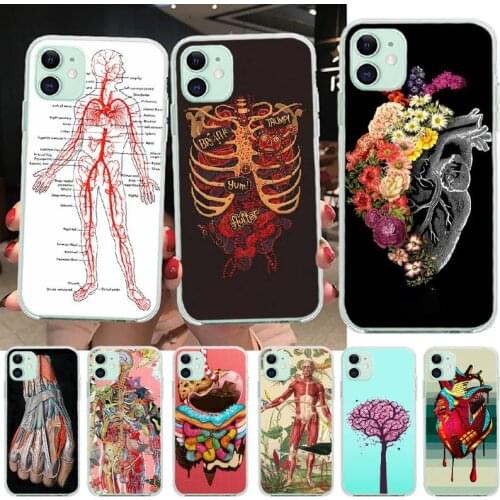 PENGHUWAN medical human head meridian kidney art Phone Case Cover for iPhone 11 pro XS MAX 8 7 6 6S Plus X 5S SE XR
