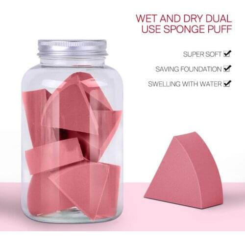 Canned Puff Wet and Dry 10 Pack Fan Puff Do Not Eat Powder Non-latex Makeup Beauty Eggs