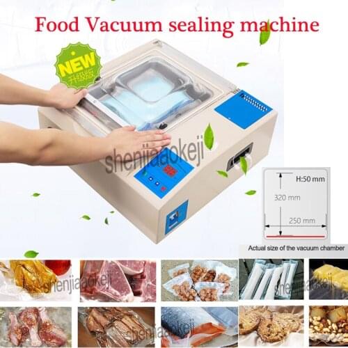 DZ-240B Fruit Vacuum sealer food vacuum packaging machine vacuum packager wet and dry dual-use vacuum sealing machine