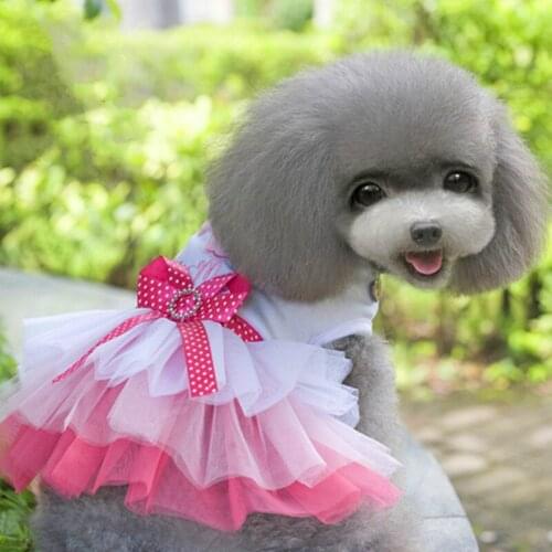 Pet clothes pet clothes puppy clothes jumpsuit cat clothes spring and summer clothes thin lip gauze skirt