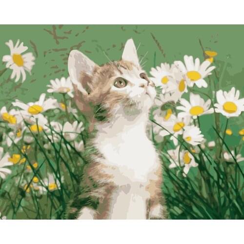 MaHuaf-i593 Cat head up in the flower DIY oil painting by Numbers animal Hand-painted canvas oil paintings for Children Room
