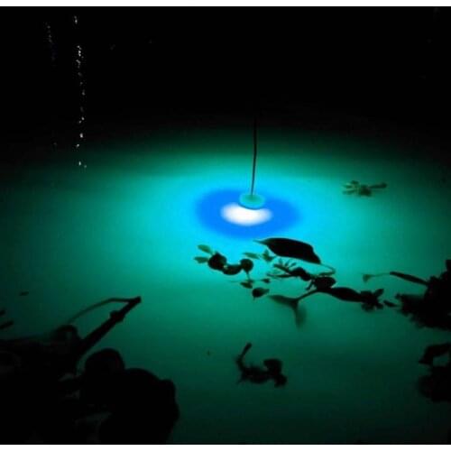 1/2 pcs Mini Fishing Lure Light LED Deep Drop Underwater Eye Shape Fishing Squid Fishing Bait Luminous Lure for Attracting Fish