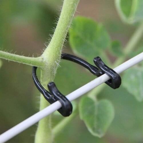 Plastic Plant Fixing Clips Tomato Support Clips Grape Rack Mesh Fasteners Gardening Agricultural Bundling Line Cages