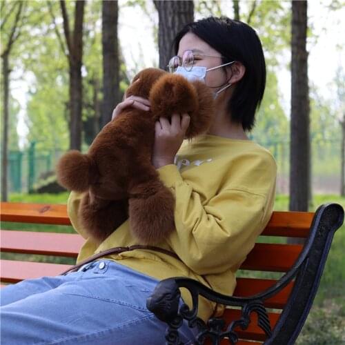 2020 new simulation dog real fur grass teddy dog rex rabbit plush childrens toy cute animal doll car pillow couple birthday gif