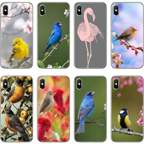 Lovely Bird Accessories Phone Case For Huawei P20 P30 P40 Pro P10 P9 Lite Y5 Y6 Y7 Y9 P Smart Plus 2018 2019