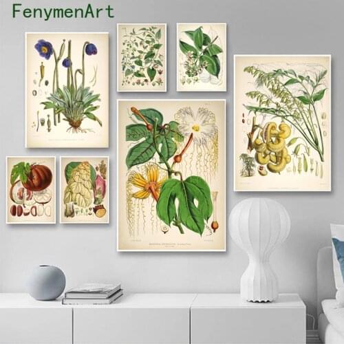 Botanical Flower Study Canvas Painting Vintage Wild Plant Posters Prints Nordic Wall Art Pictures Living Room Home Decor