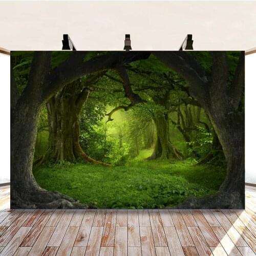 Morning Forest Giant Trees Green Background Picture Travel Hobbyist Studio Photography Photos Can Be Customized