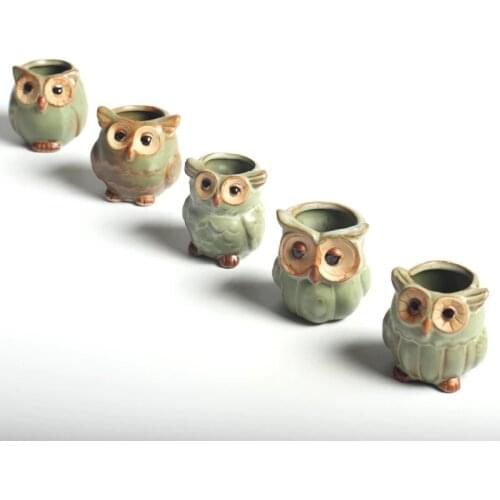 5pcs/lot Creative Ceramic Owl Shape Flower Pots for Fleshy Succulent Plant Animal Style Planter Home Garden Office Decoration