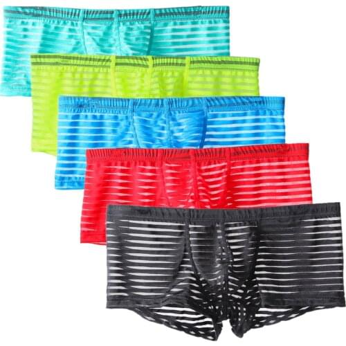 Thin Mesh Boxers Shorts Men Transparent Striped Sexy Calzoncillos Hombre Slips Ropa Interior Sexy Underwear M L XL