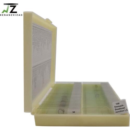 100pcs Meidical Human Histology Slides Set Histology Prepared Slides