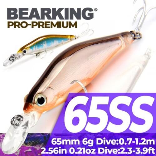 BearKing excellent Fishing tackle Hot A+ fishing lures shad,5color for choose quality professional minnow 6.5cm 6g minnow