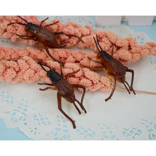 Free shipping Plastic material Micro artificial Cricket model DIY accessories recognize animal 5pcs/ a lot FT009