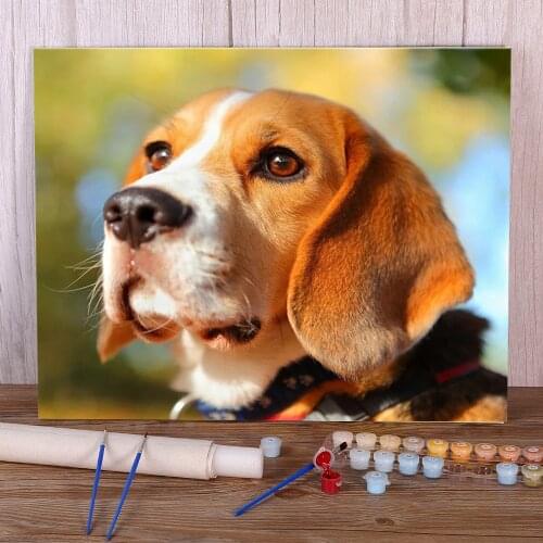 Animal Dog Beagle Coloring By Numbers Painting Complete Kit Acrylic Paints 40*50 Painting On Canvas Home Decor Handicraft
