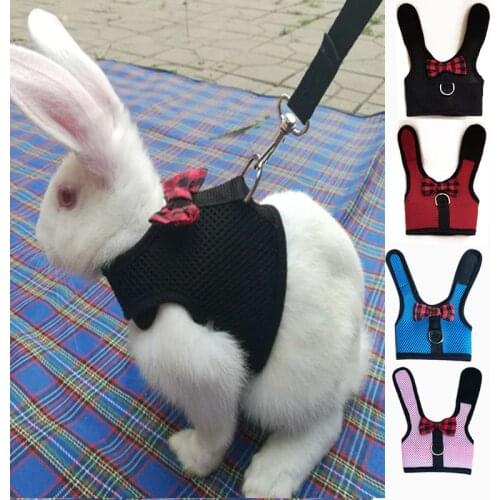 Pet Mesh Soft Harness with Leash Small Animal Vest Lead for Hamster Rabbit Bunny Small Animal Pet Accessories Belt Lead Set
